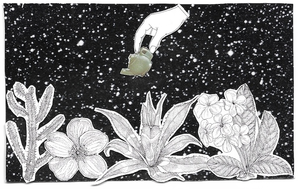 collage with hand and plants and kettle