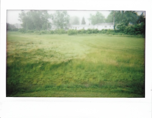 grassy field