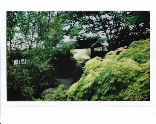 japanese garden